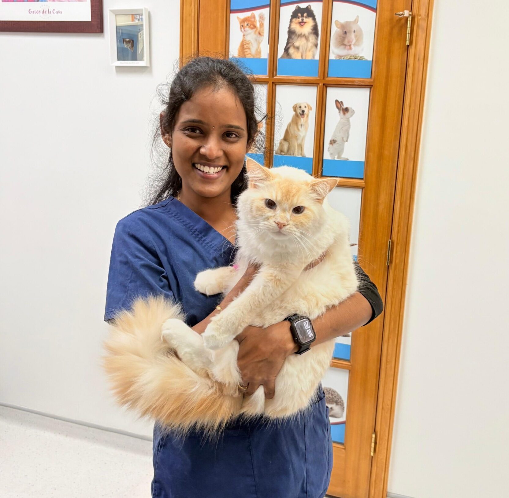 WhatsApp Image 2025-11-27 at 1.13.12 PM